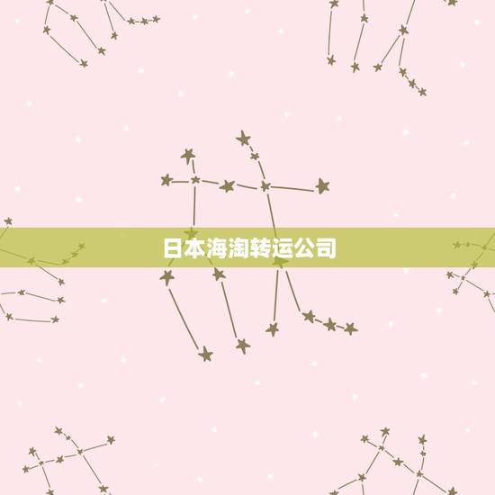 日本海淘转运公司，什么是海淘转运，转运公司？