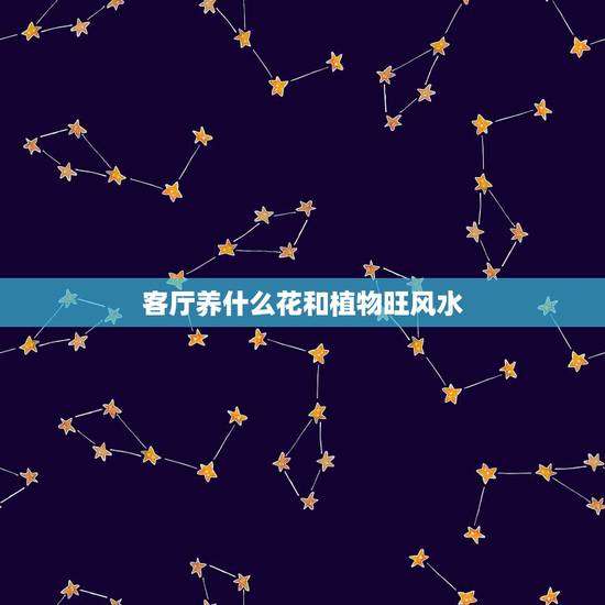 客厅养什么花和植物旺风水，在客厅里养植物都有哪些风水讲究