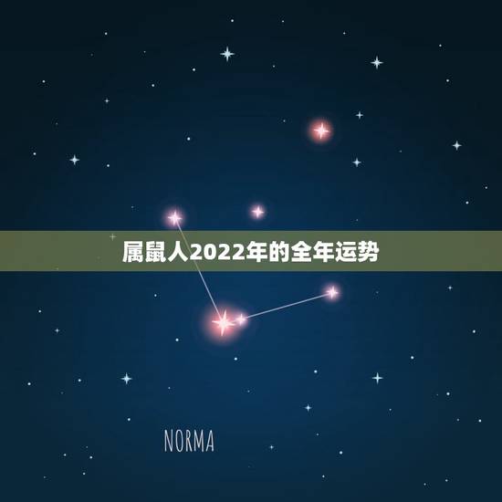 属鼠人2022年的全年运势，2023年属鼠人的全年运势详解