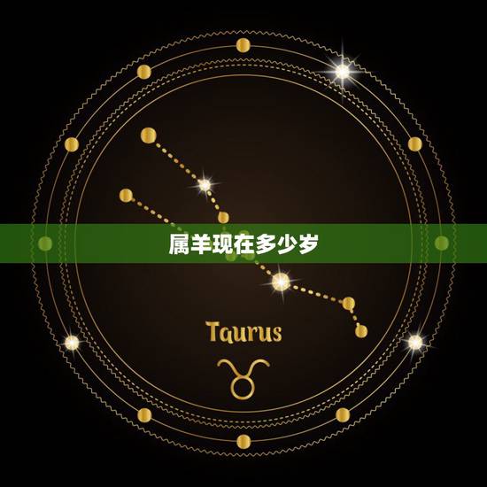 属羊现在多少岁,龙今年多少岁 属羊现在多少岁,龙今年多少岁