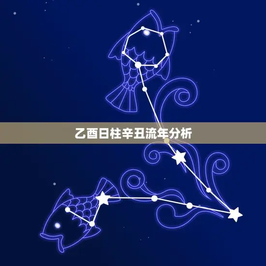 乙酉日柱辛丑流年分析 乙酉日柱辛丑流年分析