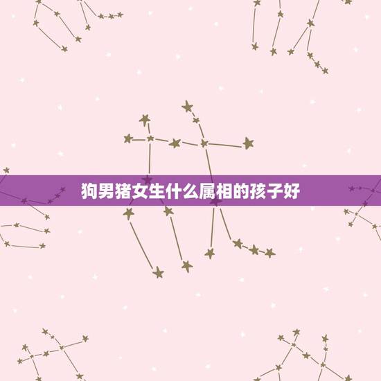 狗男猪女生什么属相的孩子好，生什么属相的孩子最好？