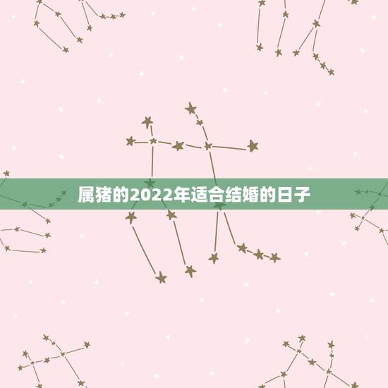 属猪的2022年适合结婚的日子，2022年生肖猪结婚吉日