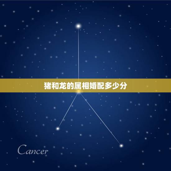 猪和龙的属相婚配多少分，龙和猪婚配属相和不和