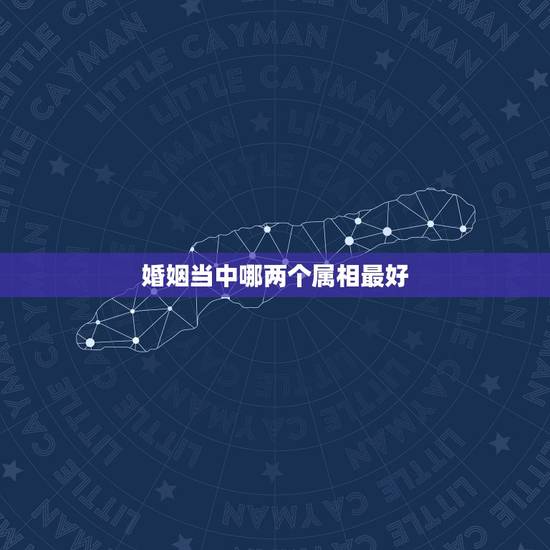 婚姻当中哪两个属相最好，哪些人的婚姻生肖相冲反而好