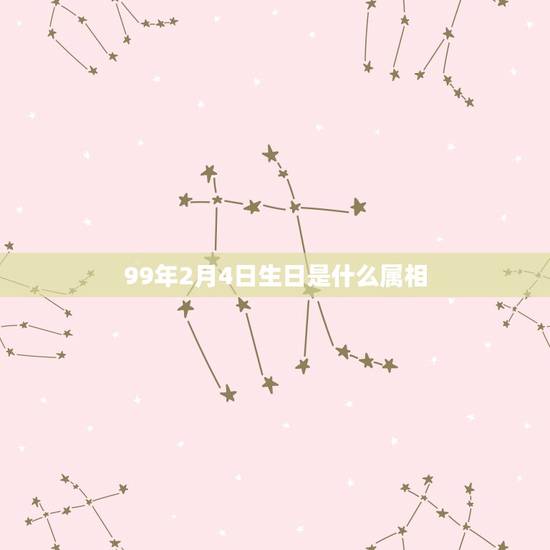 99年2月4日生日是什么属相，1999年2月4日立春日下午4时出生属什