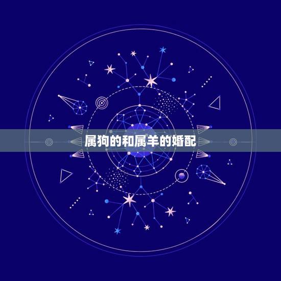 属狗的和属羊的婚配，请问属狗的和什么属相最配？