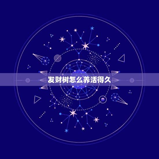 发财树怎么养活得久,发财树怎么养得更好 发财树怎么养活得久,发财树怎么养得更好