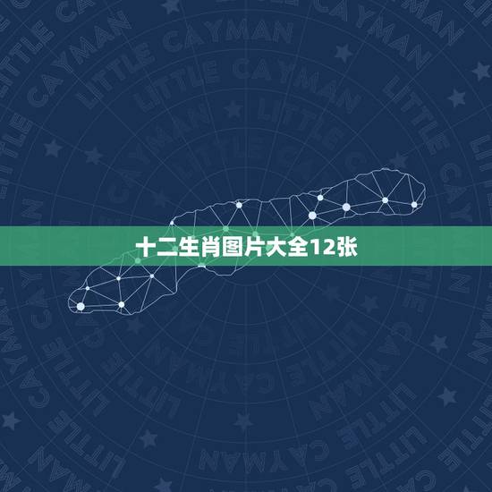 十二生肖图片大全12张,十二生肖图片大全大图单个 十二生肖图片大全12张,十二生肖图片大全大图单个
