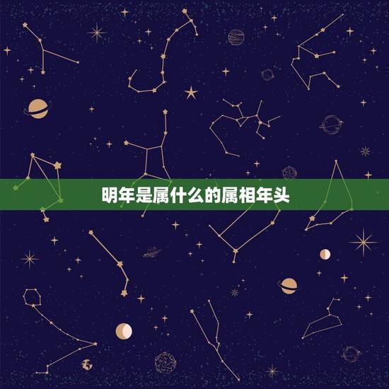明年是属什么的属相年头，十二生肖是那些今年是什么年明年是什么年