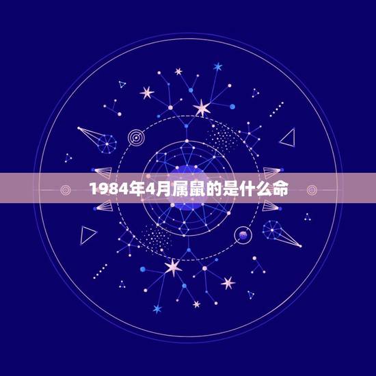 1984年4月属鼠的是什么命,1984的鼠一生婚姻状况 1984年4月属鼠的是什么命,1984的鼠一生婚姻状况