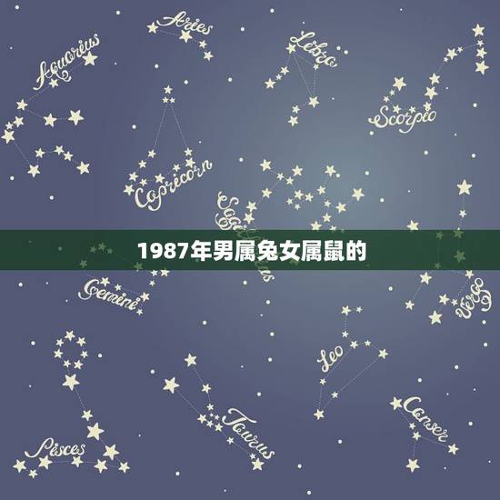 1987年男属兔女属鼠的,84属鼠的和属兔的婚姻 1987年男属兔女属鼠的,84属鼠的和属兔的婚姻