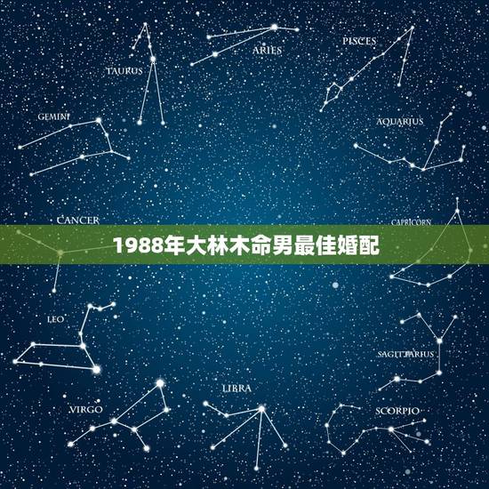 1988年大林木命男最佳婚配，射手座大林木命88年龙男的婚配什么属相好