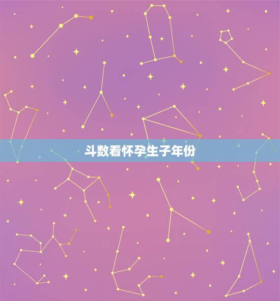 斗数看怀孕生子年份，高人帮我看下斗数