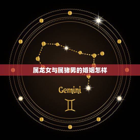 属龙女与属猪男的婚姻怎样，属龙和属猪的合不合