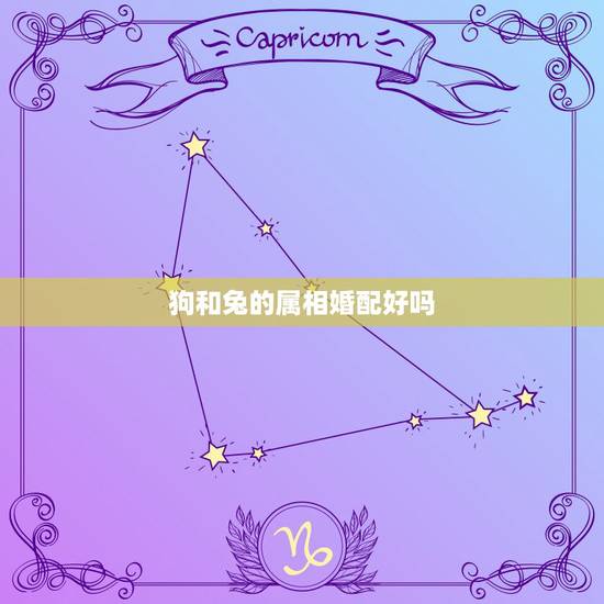 狗和兔的属相婚配好吗,属狗的和属兔的相配吗? 狗和兔的属相婚配好吗,属狗的和属兔的相配吗?