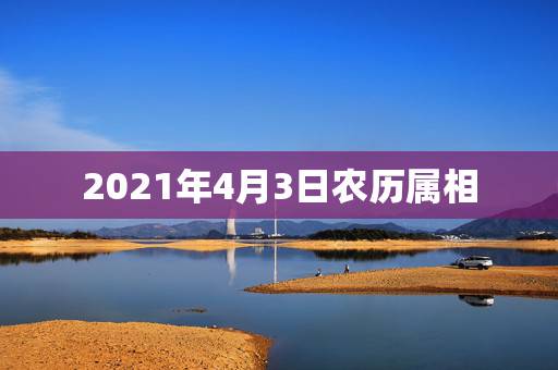 2021年4月3日农历属相,2021年十二生肖每月详解 2021年4月3日农历属相,2021年十二生肖每月详解