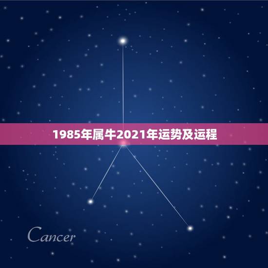 1985年属牛2021年运势及运程，属牛女2021年运势及运程每月运程