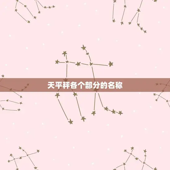 天平秤各个部分的名称 天平秤各个部分的名称