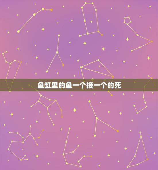 鱼缸里的鱼一个接一个的死，我的孔雀鱼为什么老是一个接着一个死呢？
