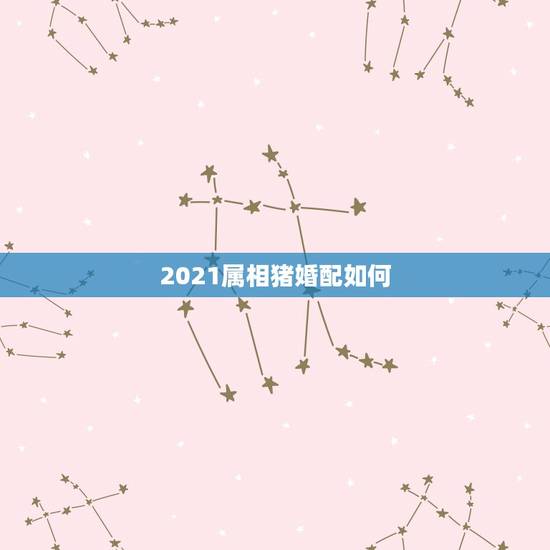 2021属相猪婚配如何,2021年适合婚嫁的属相 2021属相猪婚配如何,2021年适合婚嫁的属相