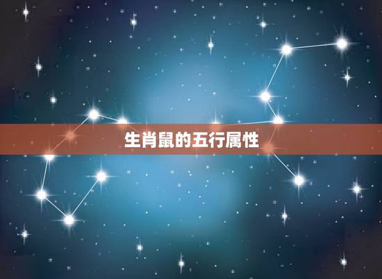 生肖鼠的五行属性,生肖虎的五行属性 生肖鼠的五行属性,生肖虎的五行属性