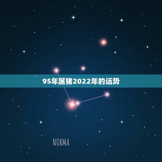 95年属猪2022年的运势，95年属猪的2014运势