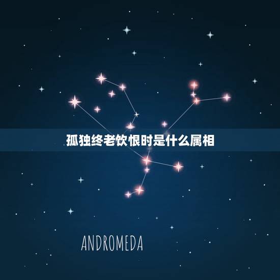 孤独终老饮恨时是什么属相,怀旧侣,忆往事,鸾凤和鸣爱得痴,风流帐,俱往 孤独终老饮恨时是什么属相,怀旧侣,忆往事,鸾凤和鸣爱得痴,风流帐,俱往