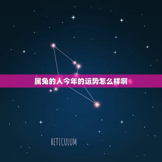 属兔的人今年的运势怎么样啊，属虎的人今年运势2022