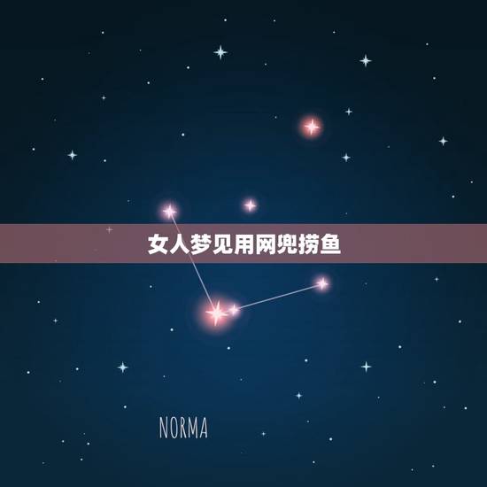 女人梦见用网兜捞鱼，梦见两人用网兜捞了四五条鱼
