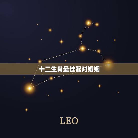 十二生肖最佳配对婚姻，十二生肖最佳配偶