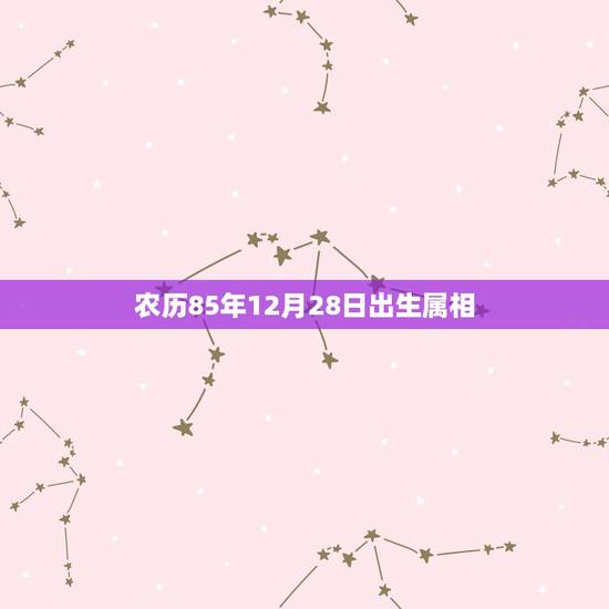 农历85年12月28日出生属相，我是1985年12月28午时出生是属什