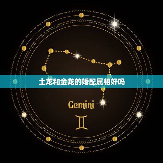 土龙和金龙的婚配属相好吗，属虎可以与属龙的相配吗