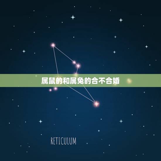 属鼠的和属兔的合不合婚，属兔和属鼠相刑严重吗