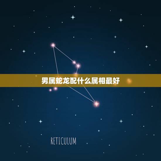 男属蛇龙配什么属相最好,属蛇的和什么属相最配,属蛇的配什么生肖最好 男属蛇龙配什么属相最好,属蛇的和什么属相最配,属蛇的配什么生肖最好