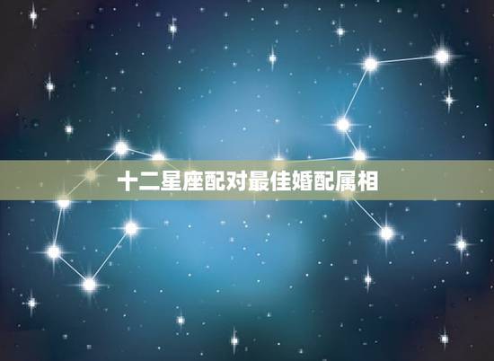 十二星座配对最佳婚配属相，12生肖配对姻缘？