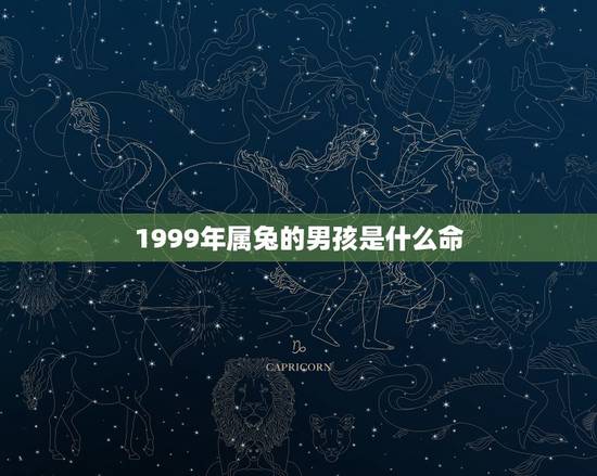 1999年属兔的男孩是什么命，1999年属兔男一生命运