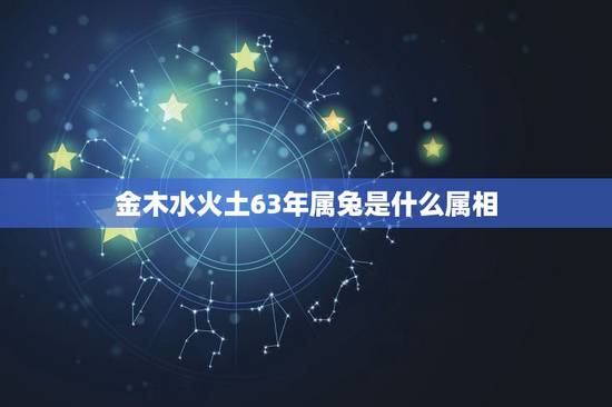 金木水火土63年属兔是什么属相，1963年属兔，五行是什么