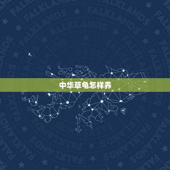 中华草龟怎样养,中华草龟干养还是水养 中华草龟怎样养,中华草龟干养还是水养