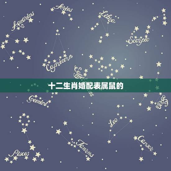 十二生肖婚配表属鼠的,属鼠的属相婚配表大全 十二生肖婚配表属鼠的,属鼠的属相婚配表大全