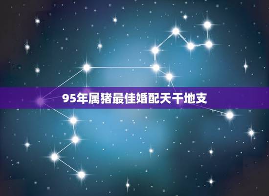 95年属猪最佳婚配天干地支，1995年属猪和什么属相最好