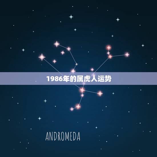 1986年的属虎人运势，1986属虎的人哪个生肖年运气最好