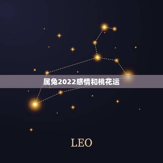 属兔2022感情和桃花运,属兔什么时候走桃花 属兔2022感情和桃花运,属兔什么时候走桃花