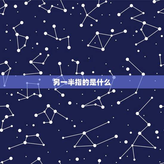 另一半指的是什么,我老公说你是另一半,什么意思? 另一半指的是什么,我老公说你是另一半,什么意思?