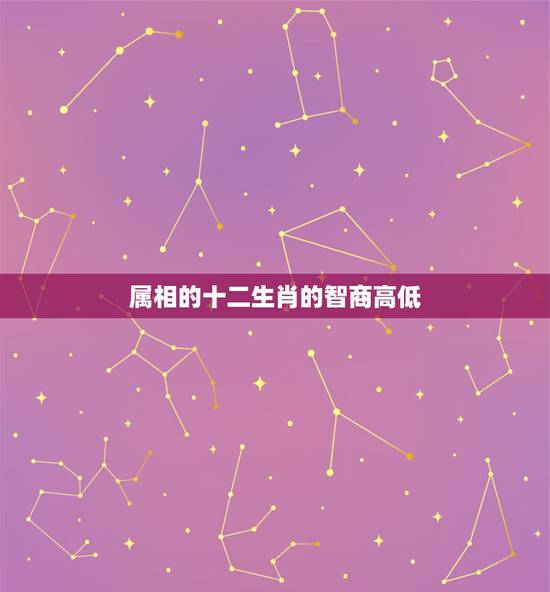 属相的十二生肖的智商高低,脑子最笨的3个生肖 属相的十二生肖的智商高低,脑子最笨的3个生肖
