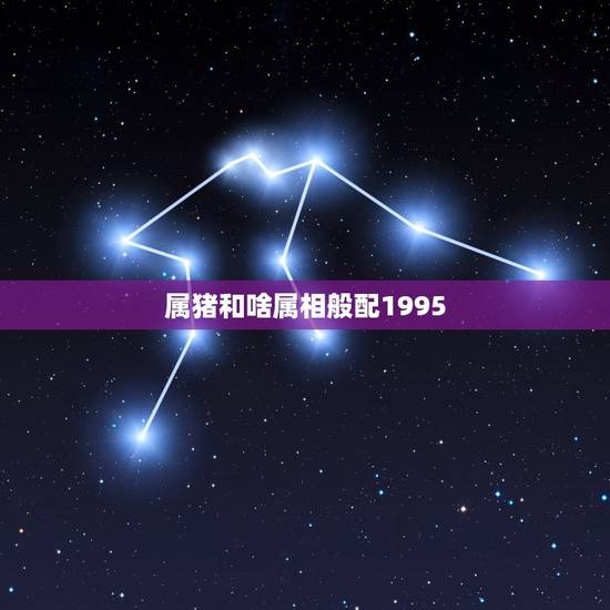 属猪和啥属相般配1995,95年属猪的婚配和什么属相最好 属猪和啥属相般配1995,95年属猪的婚配和什么属相最好