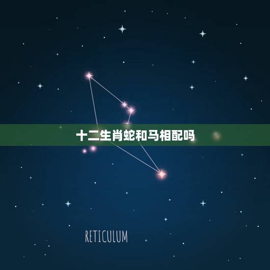 十二生肖蛇和马相配吗,十二生肖虎和蛇合吗 十二生肖蛇和马相配吗,十二生肖虎和蛇合吗
