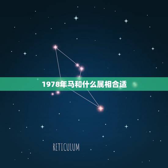 1978年马和什么属相合适，什么属相与78年属马的是最佳拍档