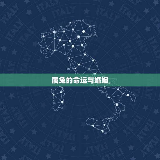 属兔的命运与婚姻，2022 年属兔感情婚姻咋样