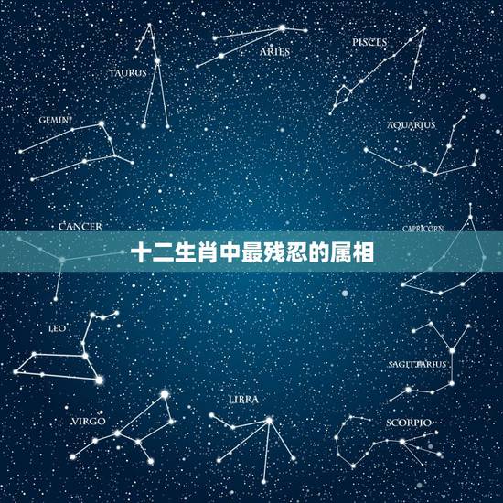 十二生肖中最残忍的属相,十二生肖中(凶残的动物)是哪一个 十二生肖中最残忍的属相,十二生肖中(凶残的动物)是哪一个
